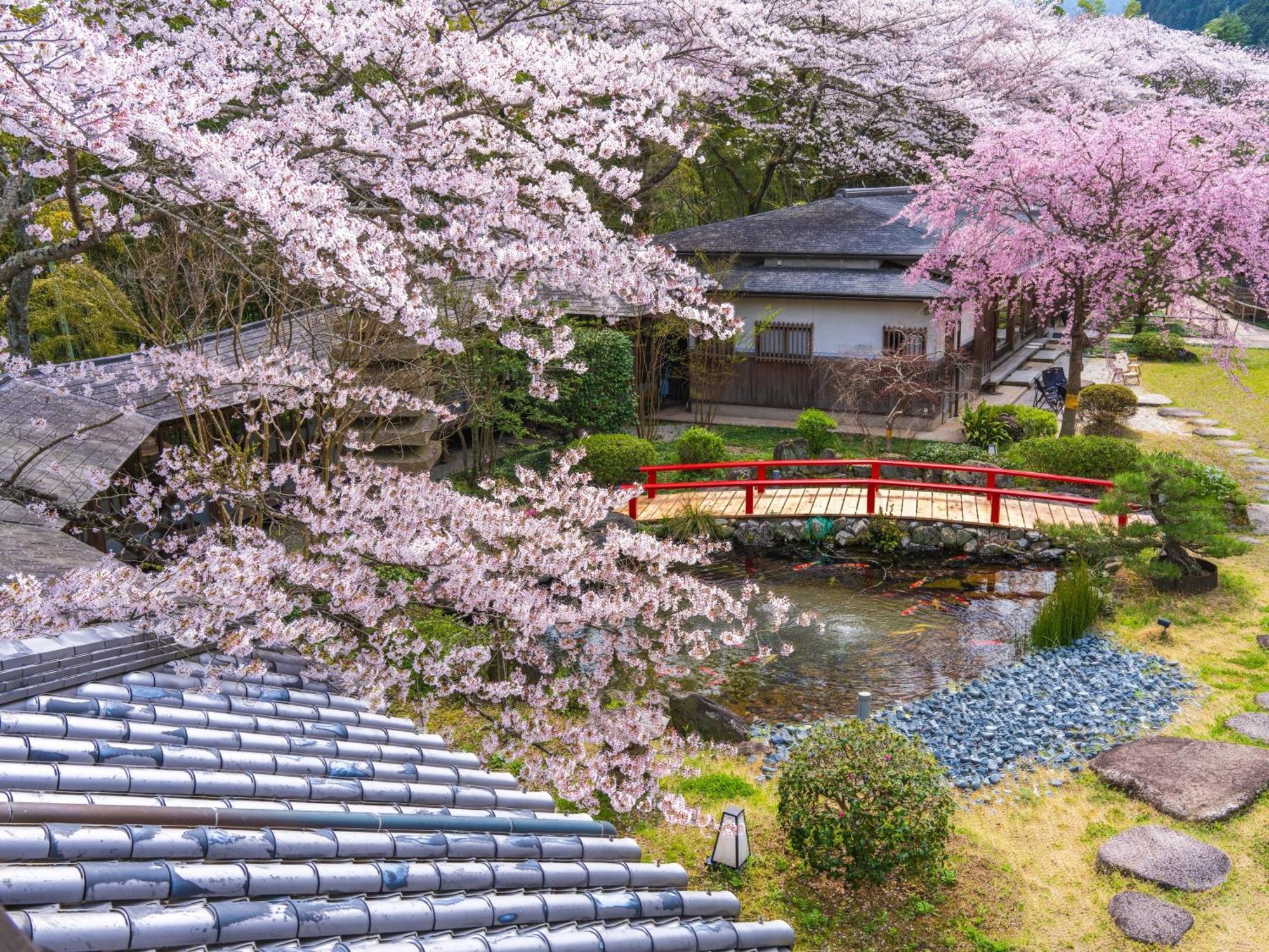 Oukai Villa Izumi Izumi (Osaka) Exterior foto